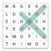 word-search_icon